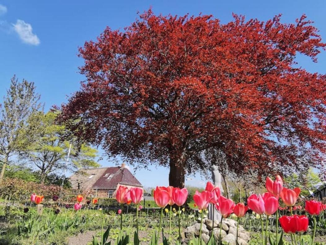 B&B Klassiek Twijzelerheide Exteriör bild